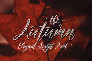 Autumn: A Font That Elevates Your Brand