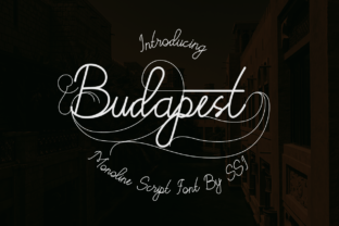 Budapest: A Script Font for Real Design Projects