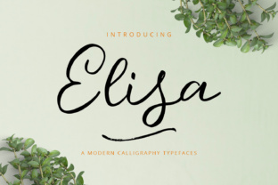 Elisa: A Font That Adds Playfulness to Branding