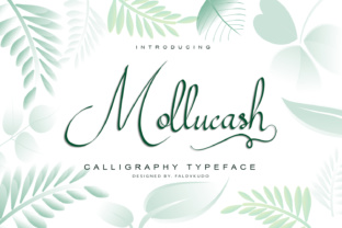 Mollucash: A Script Font for Creative Crafters