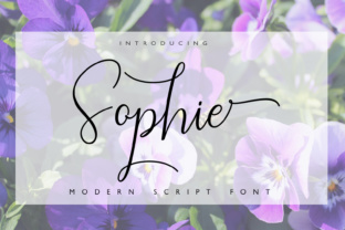 Sophie: A Font That Elevates Editorial Design