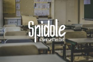 Spidole: A Handwritten Font That Elevates Web Design