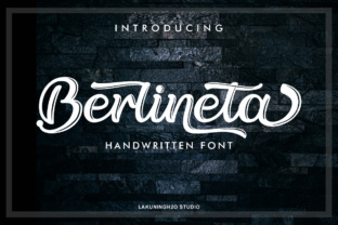 Upgrade Your Brand with Berlineta